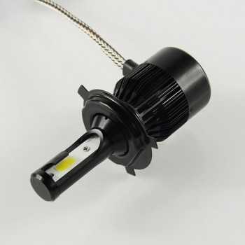 Ampoules LED