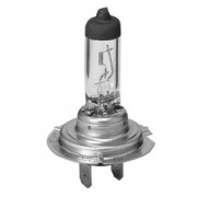 Ampoule H7 55W 12 Volts