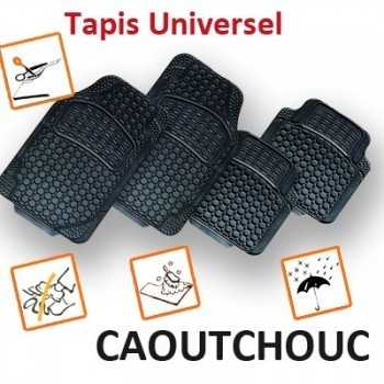 Tapis winter avant et arriere tous véhicules