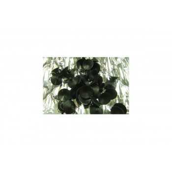 Kit isolation Vitres JAMES BAROUD Mitsubishi Pajero 5 portes 2000-