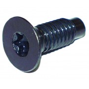 Vis Torx baie de pare brise Jeep CJ/Wrangler 1976-1986