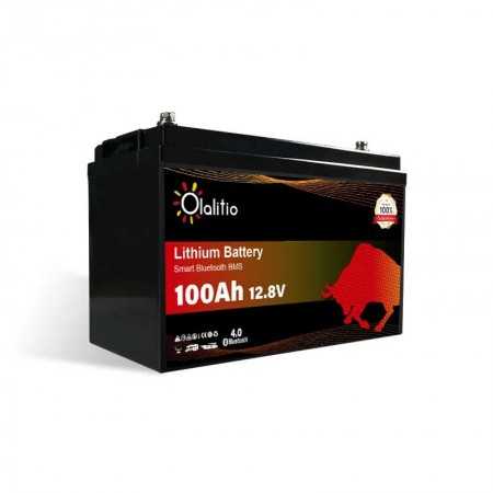 Batterie Lithium 12.8V 100Ah LiFePO4 Smart BMS Avec Bluetooth