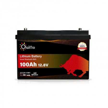 Batterie Lithium 12.8V 100Ah LiFePO4 Smart BMS Avec Bluetooth