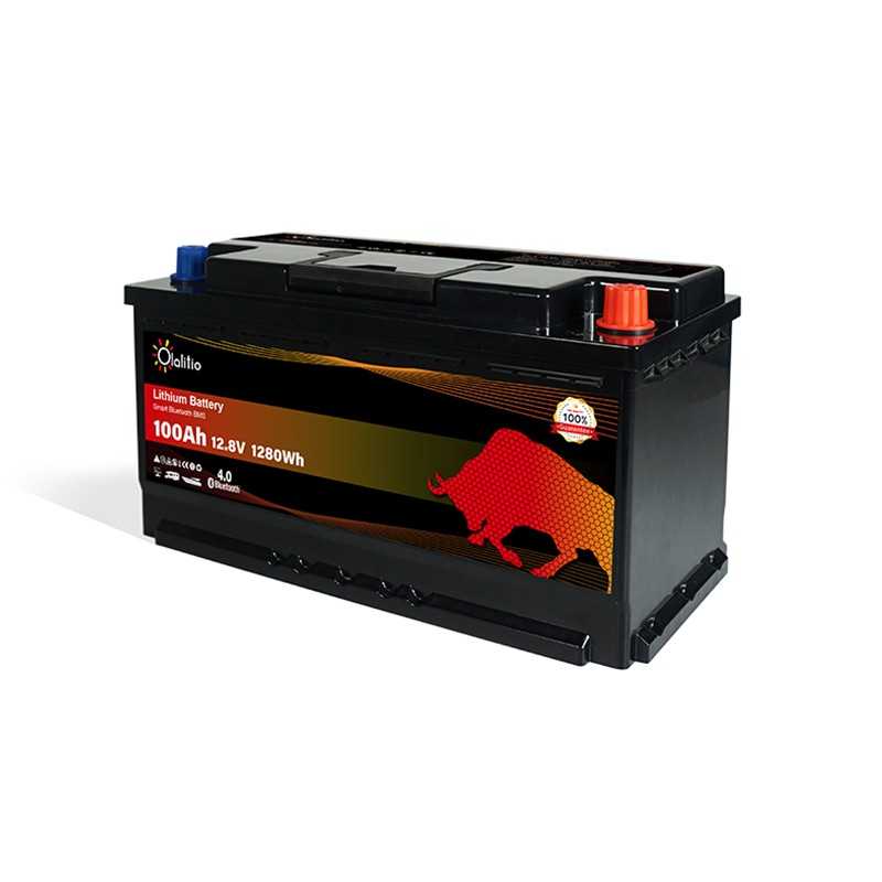 Batterie Lithium Sous Siège de 12.8V 100Ah LiFePO4 Smart BMS Avec Bluetooth