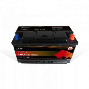 Batterie Lithium Sous Siège de 12.8V 100Ah LiFePO4 Smart BMS Avec Bluetooth